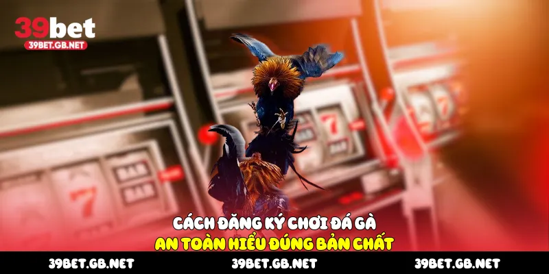Cách Đăng Ký Chơi Đá Gà