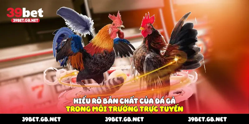 Hiểu rõ bản chất của Đá Gà trong môi trường trực tuyến