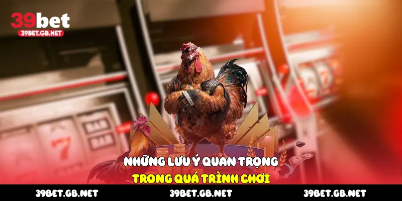 Những lưu ý quan trọng trong quá trình chơi