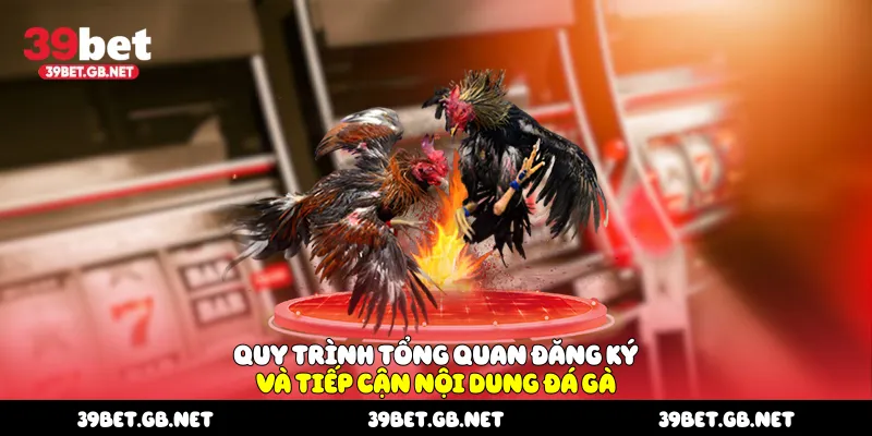Quy trình tổng quan đăng ký và tiếp cận nội dung đá gà