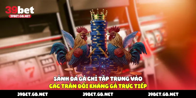 Sảnh đá gà chỉ tập trung vào các trận đối kháng gà trực tiếp