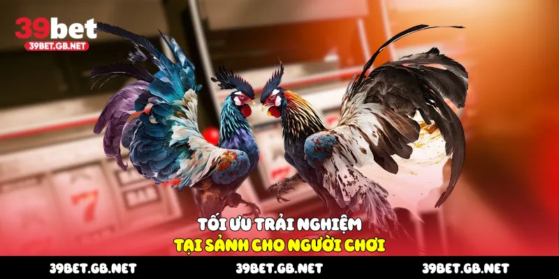 Tối ưu trải nghiệm tại sảnh cho người chơi